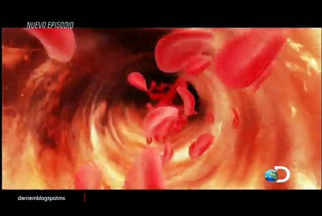 T6E2 AUTOPSIAS DE HOLLYWOOD John Belushi