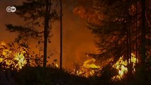 Incêndios florestais castigam a Suécia