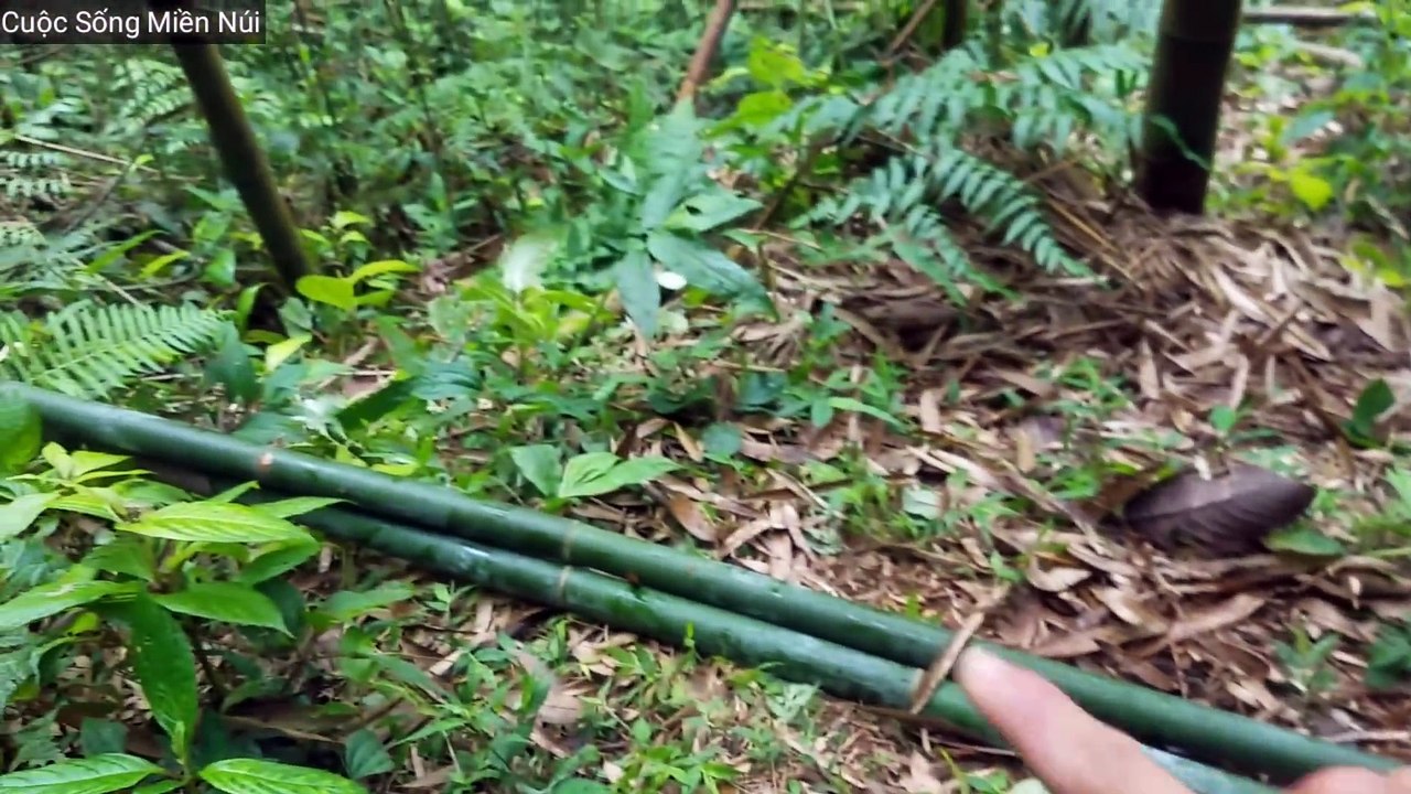 Survive in bamboo forest - Part 2: Making frames for bamboo houses