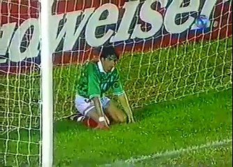 COPA  AMERICA  1997  BRASIL  X   MEXICO  parte   2
