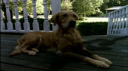 Goosebumps (1995) S1E10 Stay Out of the Basement Part 1