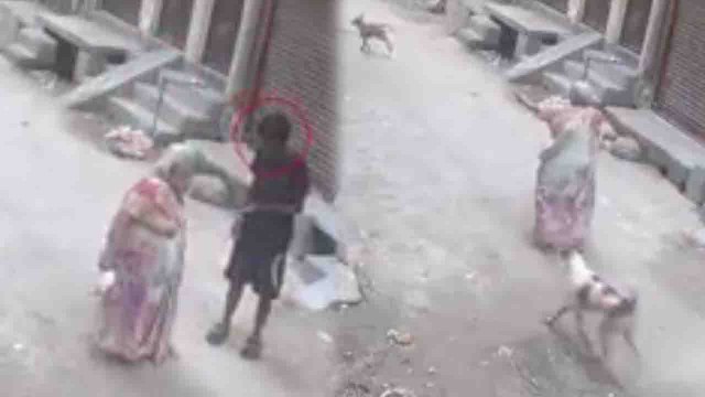 Delhi में बुजुर्ग से Chain Snatching, मदद को भागे आवारा कुत्ते देखते रहे इंसान | वनइंडिया हिन्दी