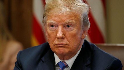 Trump culpa a Putin de la injerencia de Rusia en las presidenciales de 2016