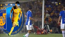 Tigres Vs Tigres Amigos de Damian Resumen Y Goles 6-3 Highlights & All Goals 2018