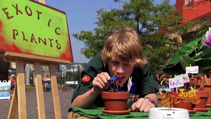 Little Shop of Horrors Plant Prank - Just Kidding