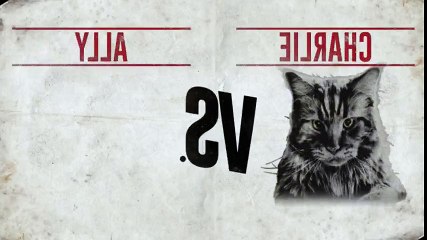 Cat vs  Dog S01xxE01 My Dog Is Stuck Outside  - Part 03