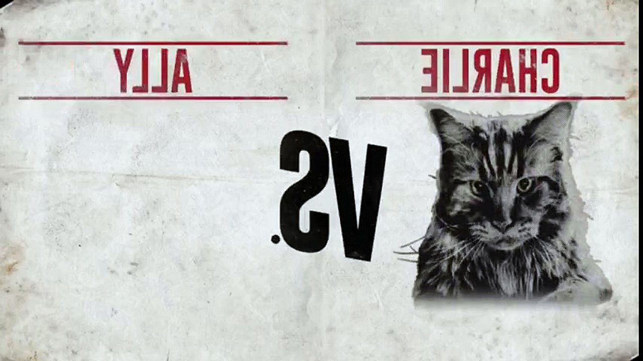Cat vs  Dog S01xxE01 My Dog Is Stuck Outside  - Part 03