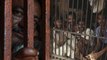 Modi Government का Gandhi Jayanti पर Prisoners को तोहफा, रिहा होंगे ज्यादातर कैदी | वनइंडिया हिंदी
