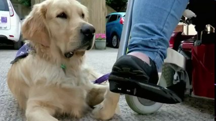 Saints and Scroungers S07  E14 The U Boat Captain and His VAT Con - Part 02