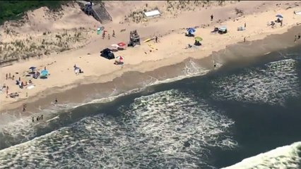 下载视频: Noticia | Dos menores han sido atacados por un tiburón en dos playas diferentes de Nueva York