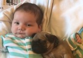 Cute Baby Shares Special Moment With His Pug Pal