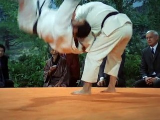 Mission Impossible (1966) S05E07  Butterfly (Aka Poor Butterfly)