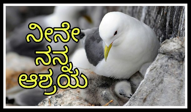 Latest Kannada Jesus Song | Neene Nanna Ashraya | Official Song | Omprakash Rajolkar | VPS Creations