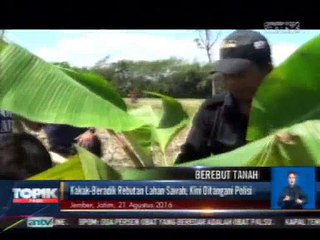 Rebutan Lahan Sawah, Kakak Beradik Saling Rusak Tanaman