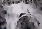 Snow Way! Guy Rides Snowmobile Through Slovenian Forest