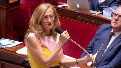 Affaire Benalla: la ministre de la Justice a parlé ce matin à l'Assemblée de "gestes absolument inadaptés"