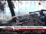 Petugas Berhasil Padamkan Kebakaran Hutan di Jambi