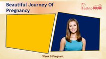 Pregnancy Week By Week | 9 Weeks Pregnant | Pregnancy Stages & Fetal Development