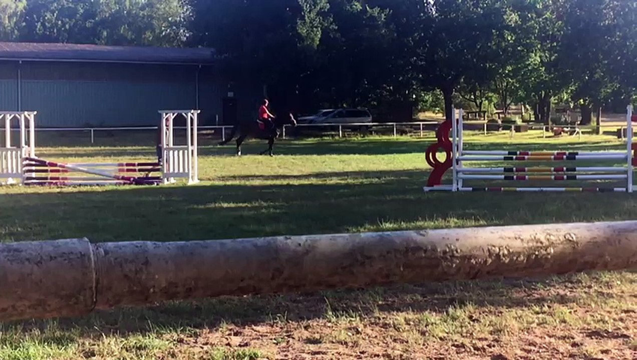 Springen 18.07.18