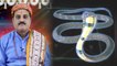 Kaal Sarp Yog: घात काल सर्प योग - प्रभाव और बचाव के उपाय, Ghaat Kal Sarp Dosh - Remedies | Boldsky