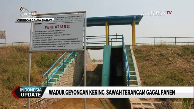 Waduk Geyongan Kering, Sawah Terancam Gagal Panen
