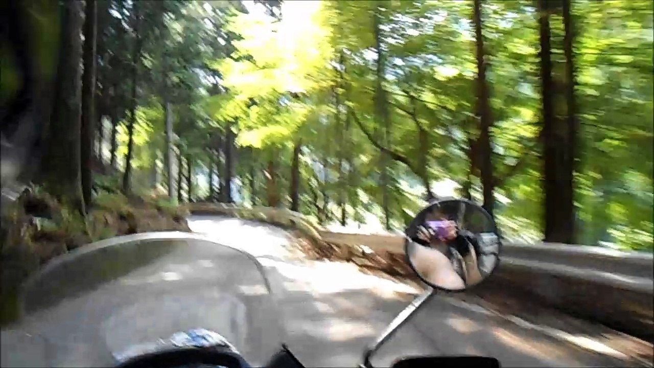 早戸川林道降り道 H30/07/15(日) 9:40