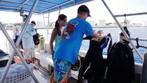 WRECK DIVES in the Cayman Islands