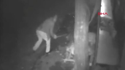 Muğla Köpeği Demirle Dövdüğü Öne Sürülen Sanık Hakim Karşısında