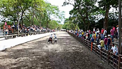 COLEO CATEGORIA ABIERTA