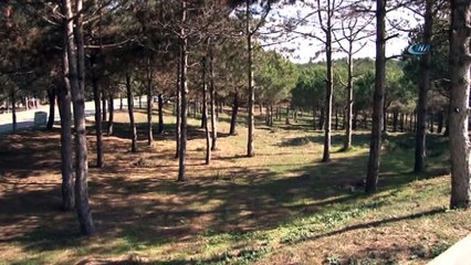 İstanbul Maltepe’de suç örgütlerine yönelik büyük operasyon