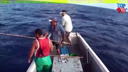 Top 10 Amazing Fishing Catch Big Fish