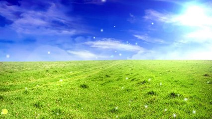 Natural Beautiful - Background Easyworship Loop