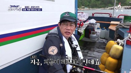 아무리 기다려도~♪ 참돔 너, 죽을 만큼 보고 싶다♬