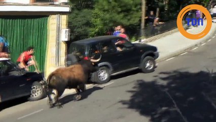 Un taureau prend le temps de casser un 4x4 lors d'une corrida