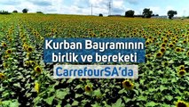 CarrefourSA 25 Yıllık Uzmanlığı İle Kurban Seçim ve Kesim Sürecinde De Sizinle!