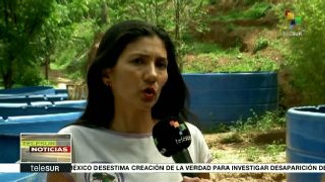 Venezuela: plan de agricultura urbana mitiga desabasto de productos