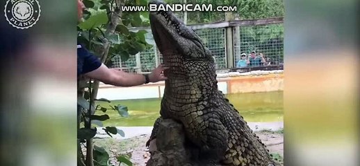 ㄗ강북출장마사지  【카톡 M7722】강북출장샵【 ay5882.coM】 강북오피스걸 강북여대생출장 강북애인대행 //강북출장안마 강북콜걸 강북모텔출장 강북출장대행