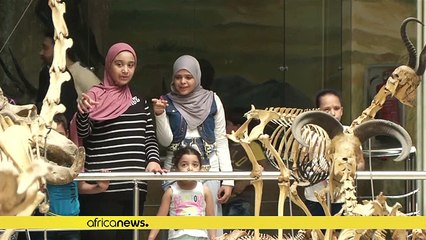 Des animaux disparus se trouvent au musée zoologique du Caire [No Comment]