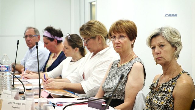 Questions à Eric PIOLLE (Mairie de Grenoble) - démocratie environnementale - cese