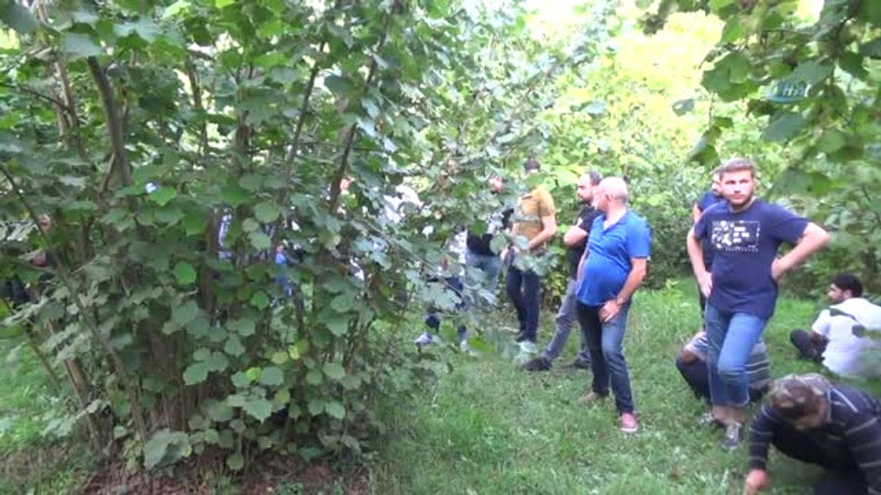 Ordu'da Pat Pat Devrildi: 1 Ölü