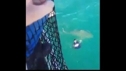 Un marin de la Marine nationale a une visite surprise