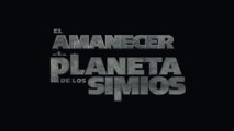 EL AMANECER DEL PLANETA DE LOS SIMIOS (2014) Trailer