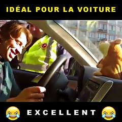  HamsterCry™ - Le Hamster qui répète tout ce que vous dites ! Fou rire garantie ! 