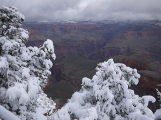 PINK SNAKES! Weird things about the Grand Canyon - ABC15 Digital
