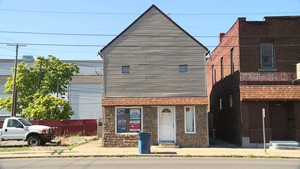 21 Neglected Dogs Rescued from Ohio Apartment