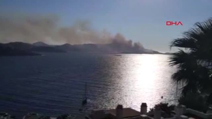 Muğla Bodrum'da Korkutan Yangın