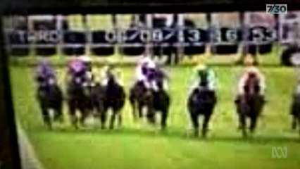 Jockey donates brain for head injury research