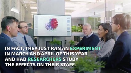 Firm in New Zealand Tests 4-Day Workweek With Surprising Results