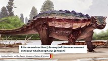 Fossils Of Newly Discovered Armored Dinosaur Unearthed