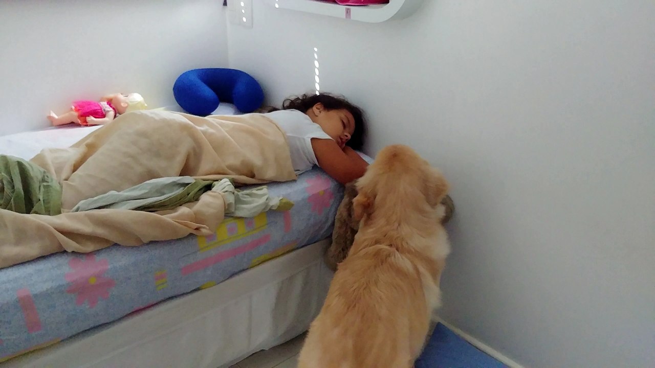 Furry Alarm Clock